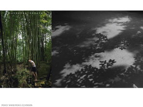 猛虎集 文藝創作片與動漫游戲的融合之路