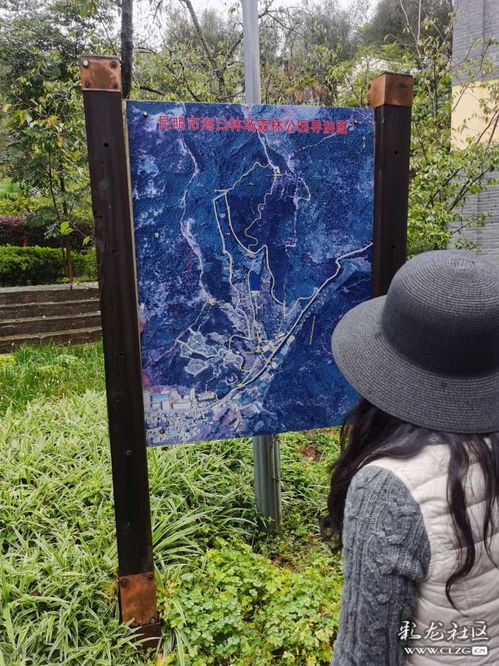 2021年文藝創(chuàng)作課題調(diào)研 動漫游戲開發(fā)的新趨勢與挑戰(zhàn)